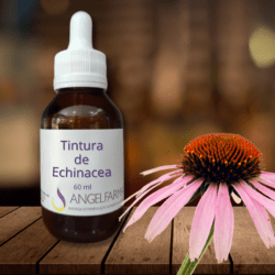 tintura de echinacea