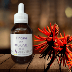 tintura de mulungu